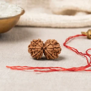 Gauri Shankar Rudraksha